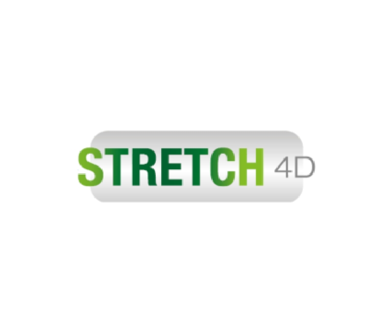 logo stretch 4d